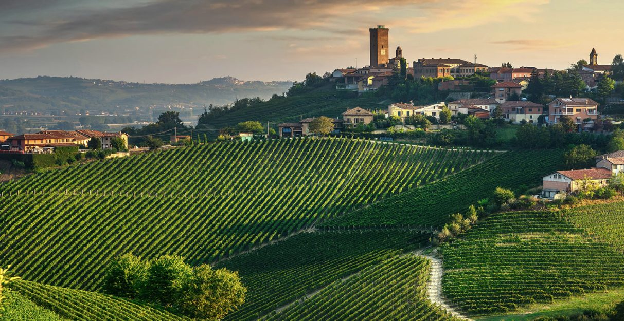 Giacosa's vineyards in Barbaresco
