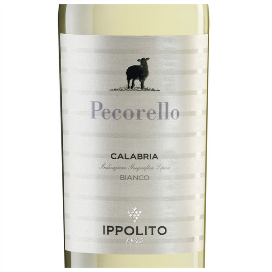 Ippolito Pecorello Wine Bottle Closeup