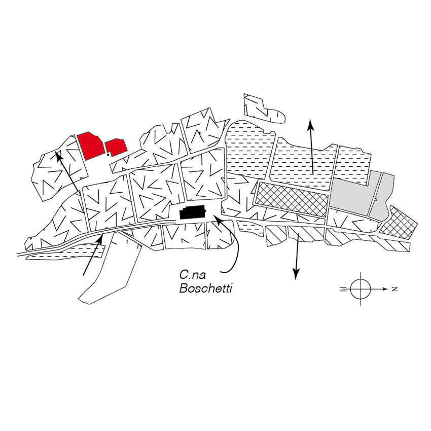 Map of Scarzello's Barbera d'Alba vineyard - Barolo MGA Vol. 1 - Alessandro Masnaghetti Editore