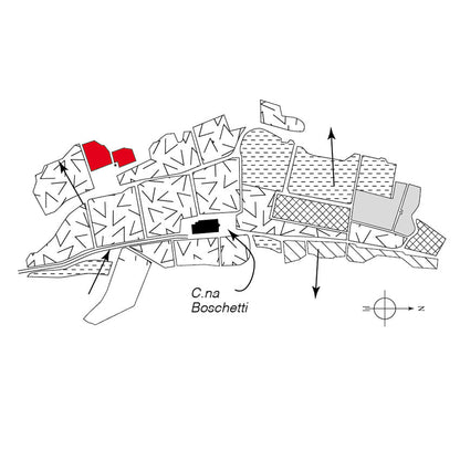 Map of Scarzello's Barbera d'Alba vineyard - Barolo MGA Vol. 1 - Alessandro Masnaghetti Editore