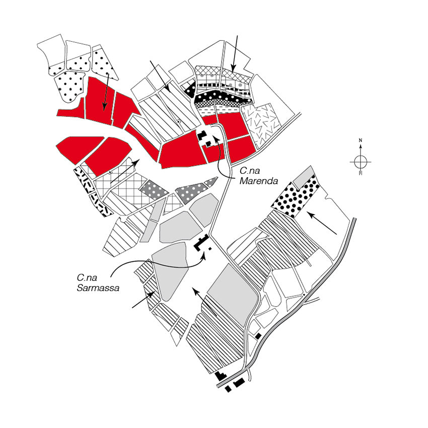 Map of Scarzello's Barolo vineyard - Barolo MGA Vol. 1 - Alessandro Masnaghetti Editore