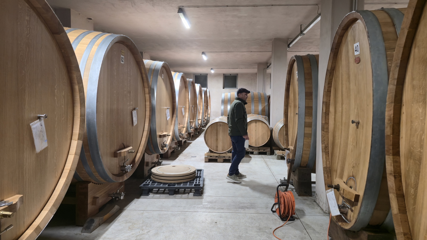 Cellar of Scarzello Winery