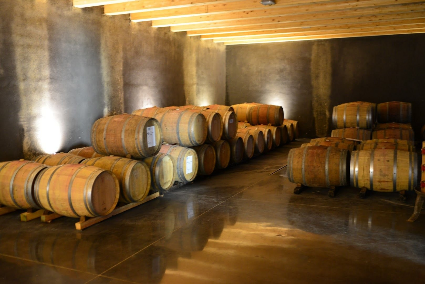 Cellars of Villa i Cipressi